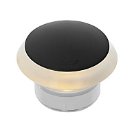 In-Lite Integrated PUCK DARK