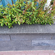 Vietnamees Black Basalt afdekrand 100x20x3cm