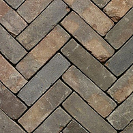 Oliva WS DF80 bruin/blauw (73st./m²)