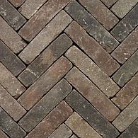 Pastorale mix UWF60 (98 st./m²)