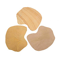 Flagstone Golden Leaf kwartsiet (per stuk)