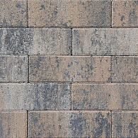Longstone opsritsteen strak met facet 31,5x10,5x7 cm Musselkalk