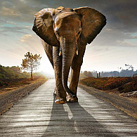 Limestone WF Classique Colonial Beige 20x5x5 cm