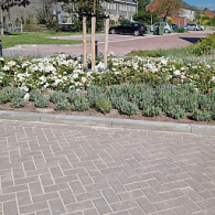 Opsluitbanden Infra