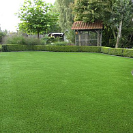 Kunstgras is een onderhoudsvriendelijke en altijd groene oplossing voor uw tuin. Het ziet er natuurlijk uit, blijft het hele jaar door mooi en is ideaal voor speel- of loungegebieden. Met verschillende hoogtes en tinten past kunstgras in elke tuinstijl. Zo creëert u eenvoudig een verzorgde en sfeervolle tuin zonder veel werk. Bij Burman Sierbestrating vindt u een hoogwaardig assortiment kunstgras voor elke tuin.