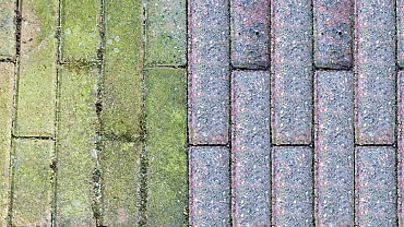 groene aanslag