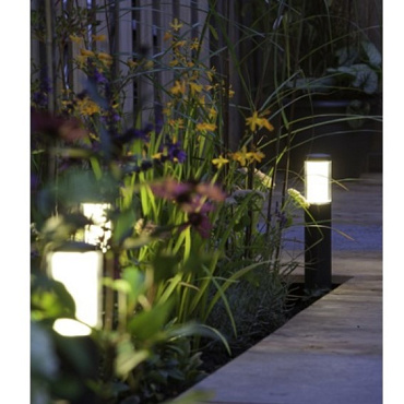 In-Lite Solitary LIV LOW DARK