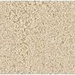 Varistone LM Aqua Naturel reparatiesetje 1 kg