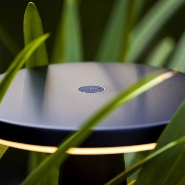 In-Lite Solitary  DISC Light Head