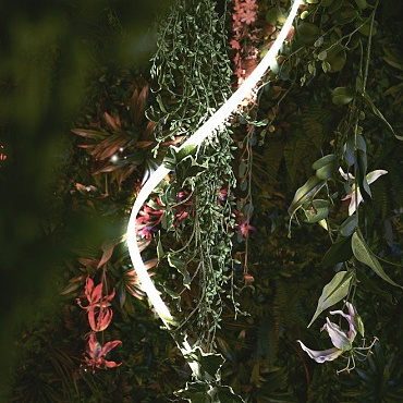 In-Lite EVO FLEX 3