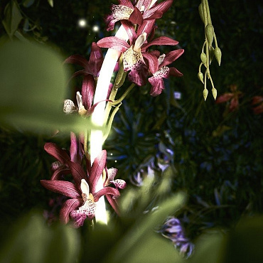 In-Lite EVO FLEX 1