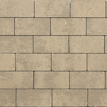 GeoCotto Loto 20x5x8 cm