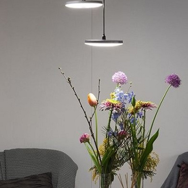 In-Lite Surface DISC PENDANT