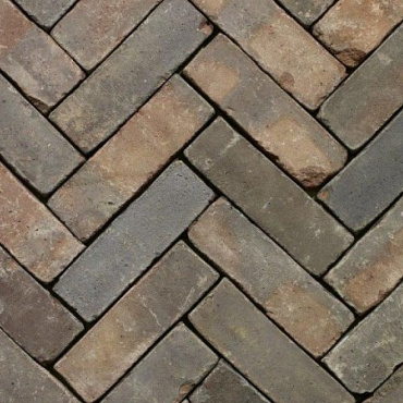 Oliva WS DF80 bruin/blauw (73st./m²)