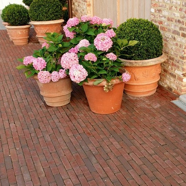 Ruston UWF60 rood/paars getrommeld (98 st./m²)