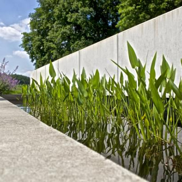 Schellevis® Tegel Grijs 100x100x5 cm