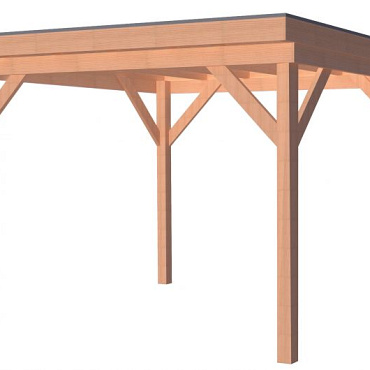 Douglas Overkapping Premium Geschaafd 300x300 cm