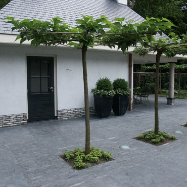 Bluestone 80x80x3 cm getrommeld