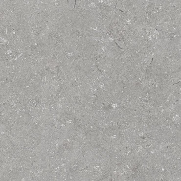 Robusto Ceramica 3.0 Shellstone Grigio 60x60x3 cm