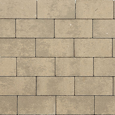 GeoCotto Loto 20x5x8 cm