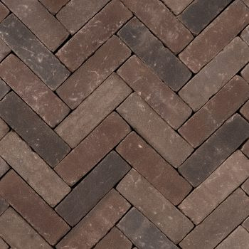 Pastorale mix UDF60 (73 st./m²)
