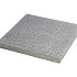 Schellevis® Tegel Grijs 100x100x5 cm