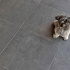 Ceramaxx Puzzolato Nero 60x60x3 cm