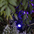 In-Lite SMART SCOPE TONE