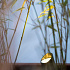 In-Lite Accessoire SHIELD 1