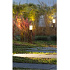 In-Lite Solitary LIV CORTEN