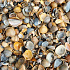 Schelpen (bruin/blauw/grijs schoongewassen) in Big Bag (1m³)