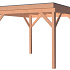 Douglas Overkapping Premium Geschaafd 300x300 cm